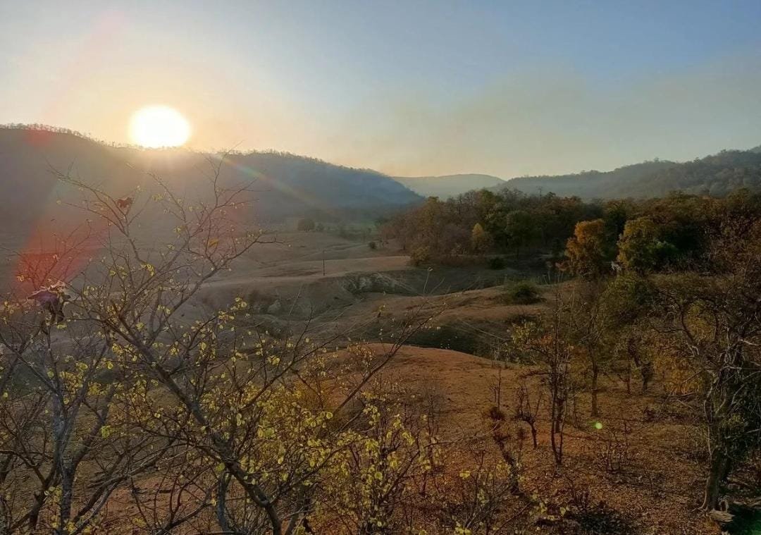 Gir Landscape photo