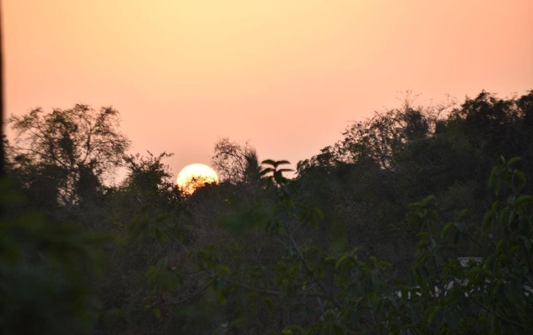Gir Landscape photo